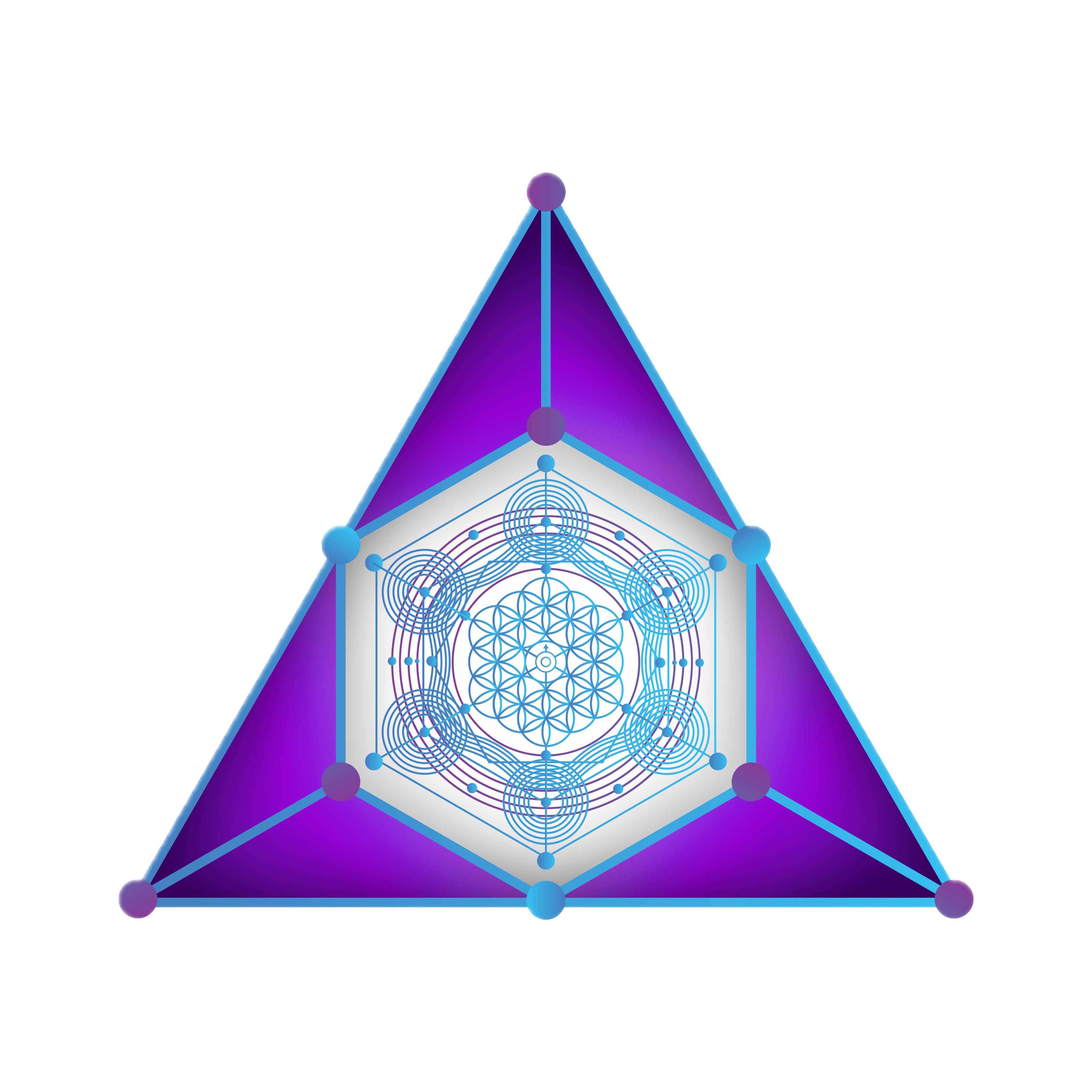 SynaQuest Logo